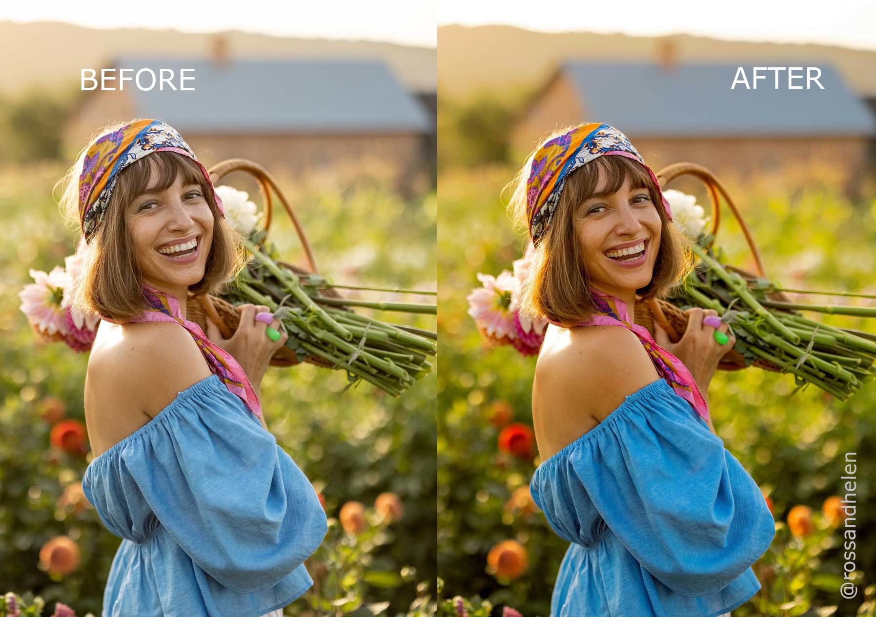 Google Gemini AI Photo Editor